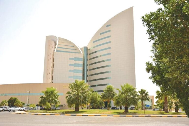 B0358f78 8795 4453 888d 70c0d3d5077c file.jpg