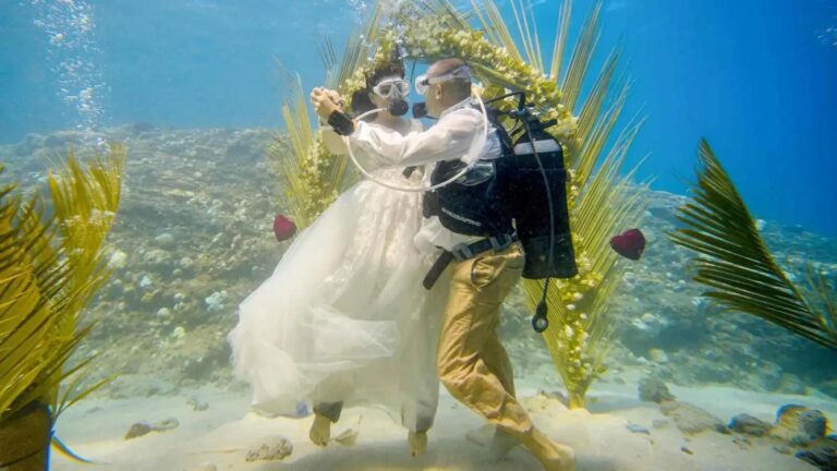 B11d2736 eb62 4636 9ed2 0e91dc93a5eb file.jpg