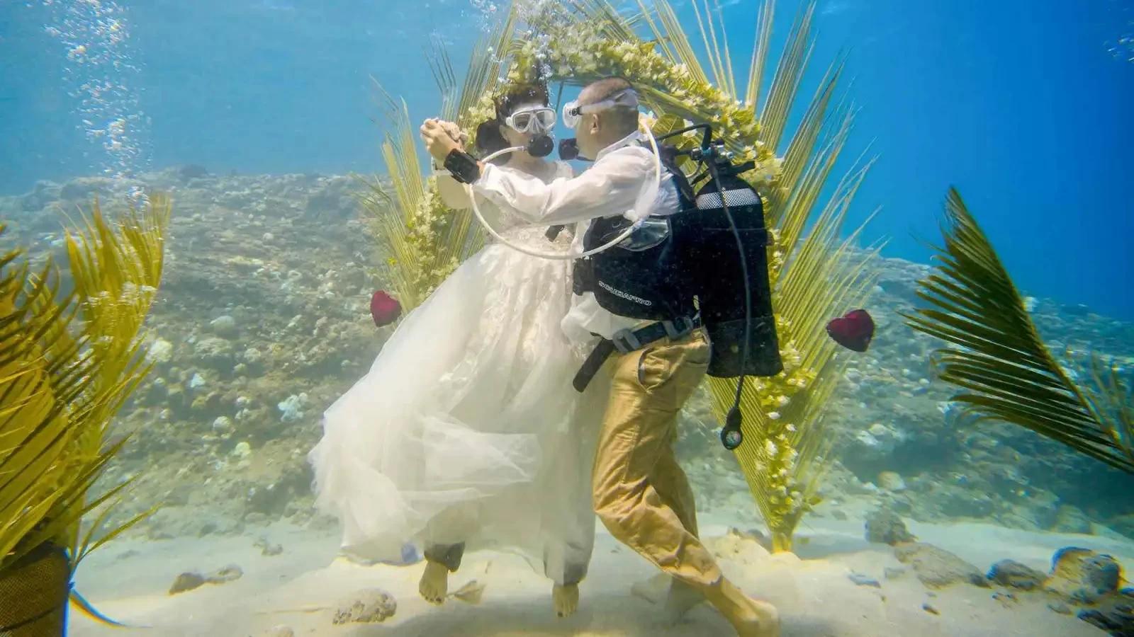 B11d2736 eb62 4636 9ed2 0e91dc93a5eb file.jpg