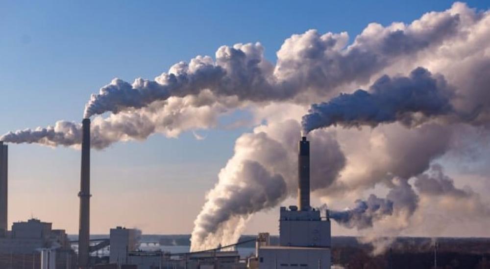 B1d995b8 5656 474f b147 4ccfc2025067 file.jpg