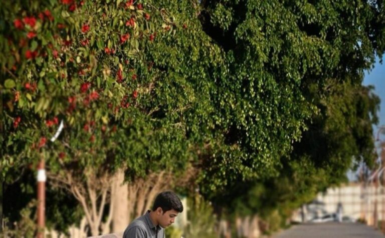 B1e6ebc9 8c48 4c02 b80c 1d08544666cf file.jpg