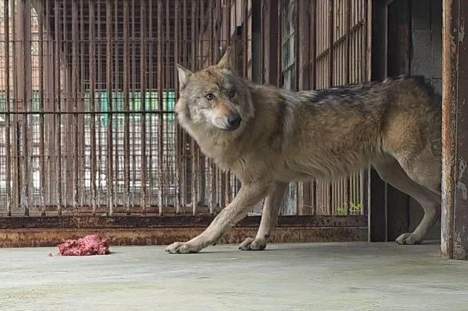 B3761df4 8180 4f6b a182 56de9f6f54ce file.jpg