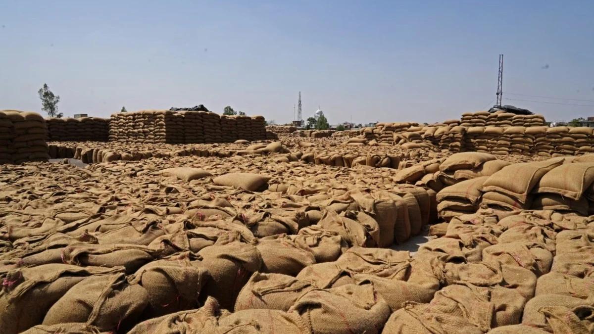 B5272095 45ee 4a96 b87e ee99ff83d002 file.jpg