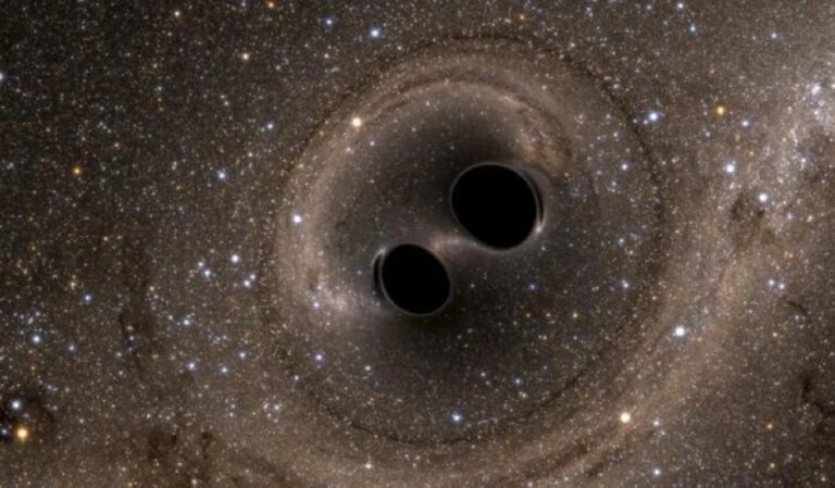 B77cbd8f 3844 42c0 a95d 329ae561401c file.jpeg