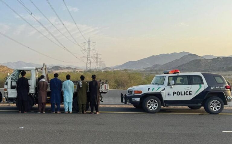 Bb184974 8b6e 47bc 8bb7 0dbf7e673d21 file.jpg