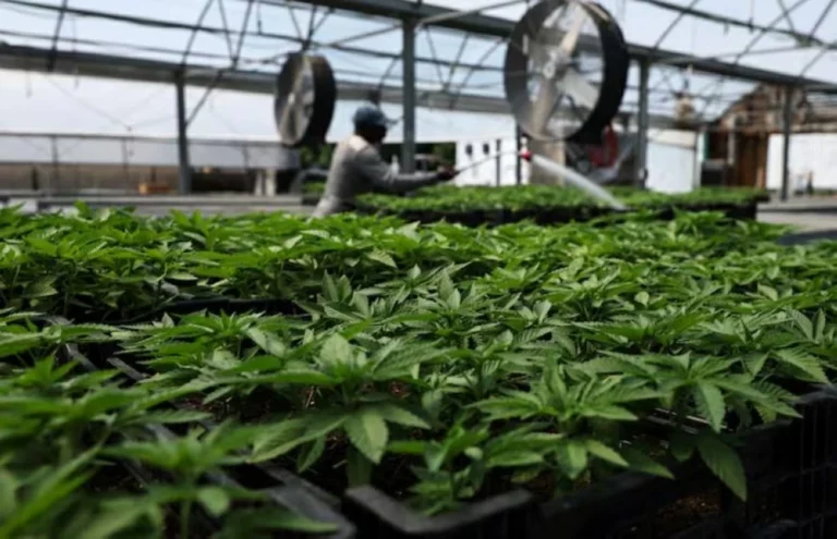 Bc8e7b54 a6cb 454f 8719 cba7d8c41a71 file.webp