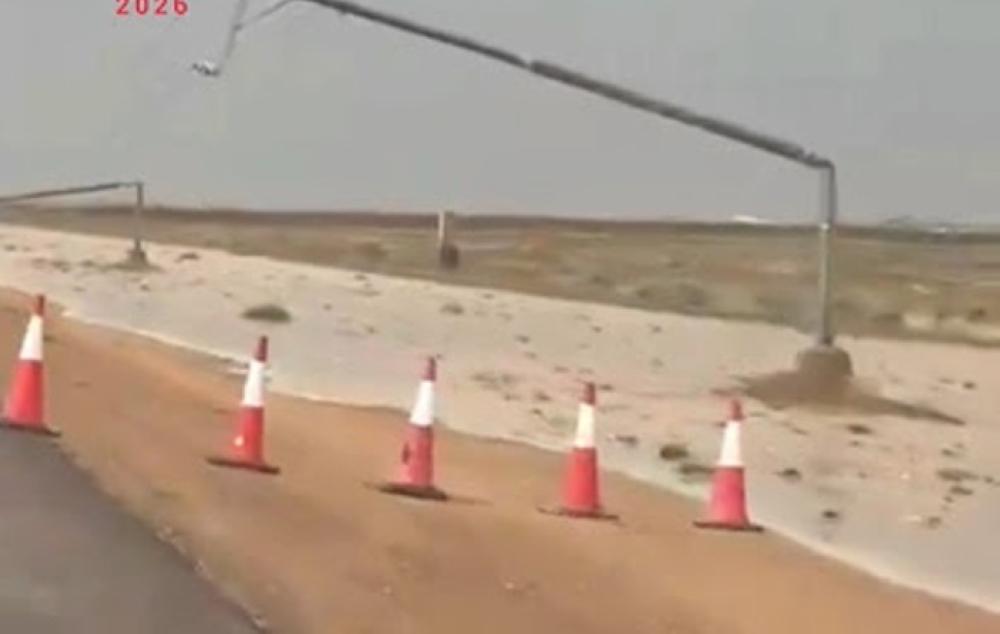 Be2984e3 27f9 44c1 a7e9 810c53a53a31 file.jpg