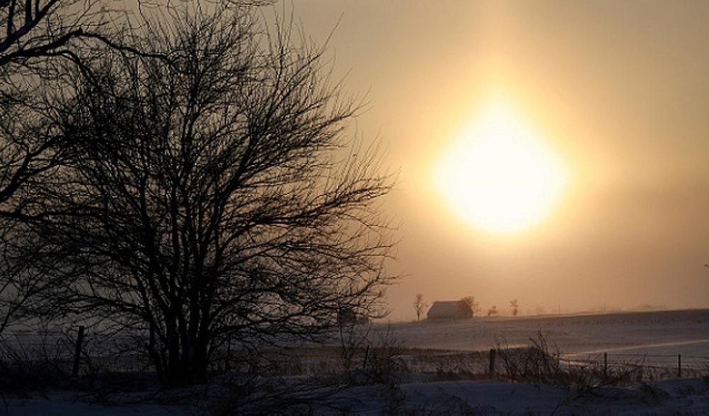 Be7ffea2 8df9 4208 af11 07aabc0c0f17 file.jpg