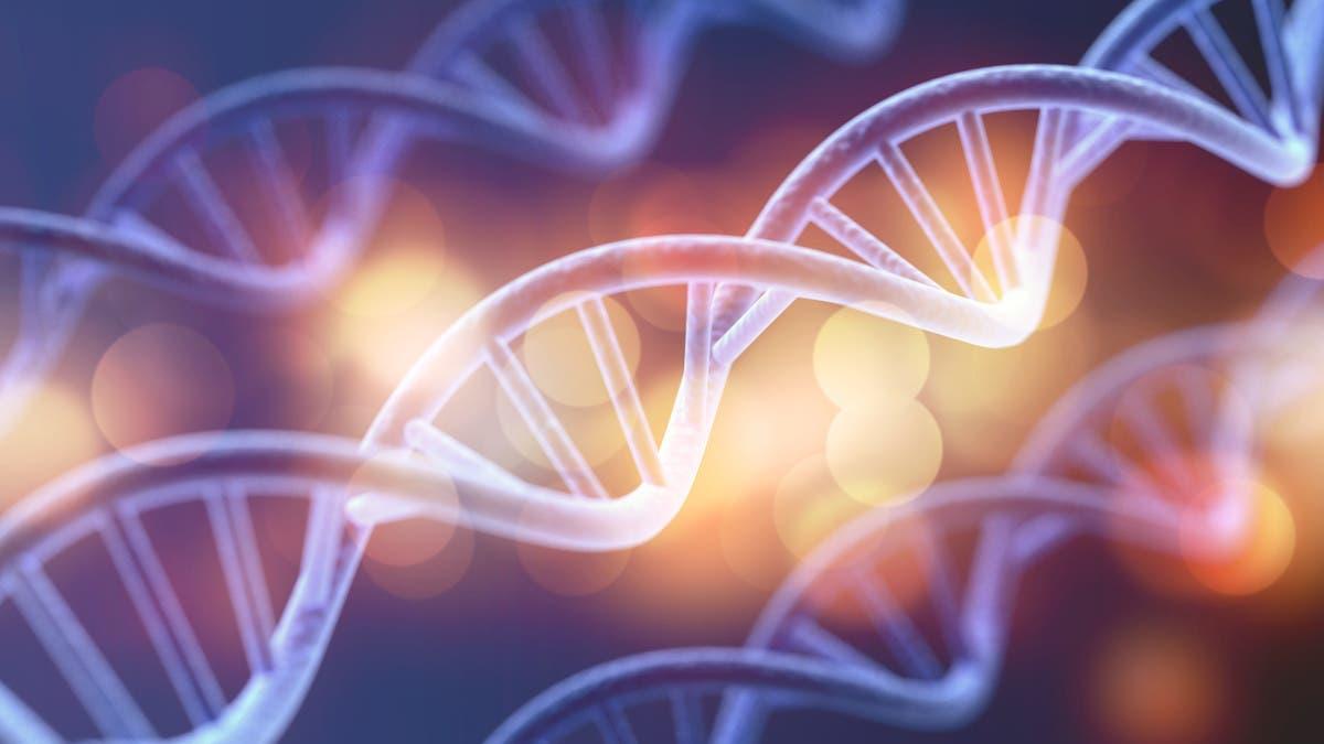 C3bffe04 2350 44ff 9b3d cb5d82f10d1c file.jpg