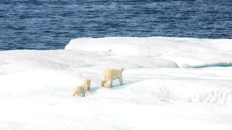 C3fb1642 039b 4f71 bf92 8ba6241471e1 file.jpg