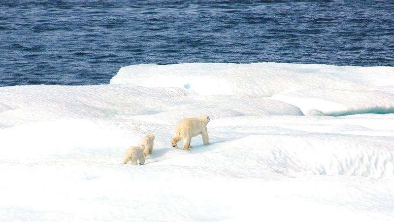 C3fb1642 039b 4f71 bf92 8ba6241471e1 file.jpg