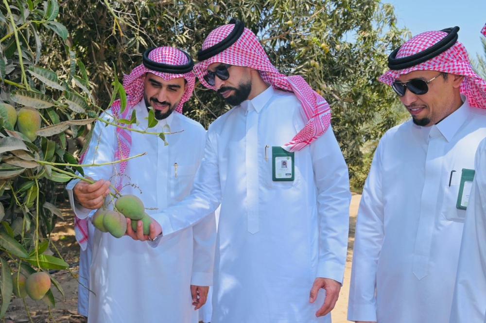 C51d0554 c68e 4312 99d3 6c95691d9041 file.jpg