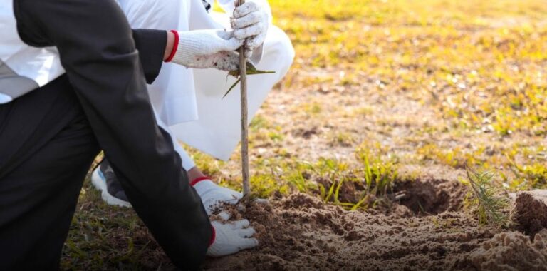 C53fcd79 050b 429c 825f 2c97234acef2 file.jpg