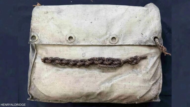 C5962c17 f07b 4090 8363 bce5a2c844ae file.jpg