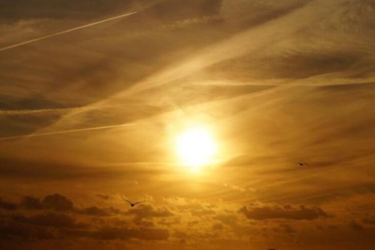 C6deb211 b3ca 4e10 88f0 004d20f38835 file.jpg