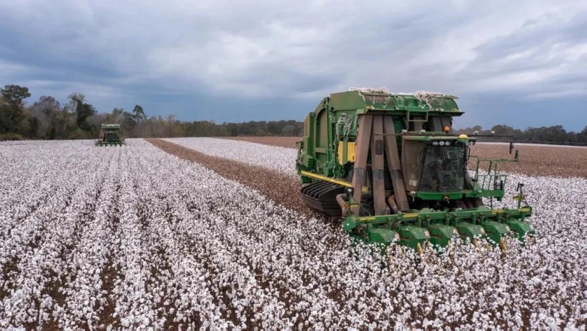 C7baa991 b542 4062 8513 2643baab5e89 file.jpg