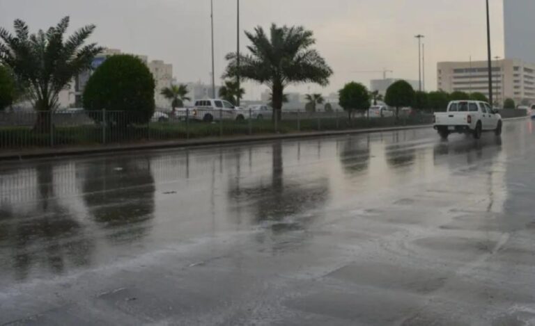 C7c97dd0 a1b7 4517 9d38 74c6167a2549 file.jpg