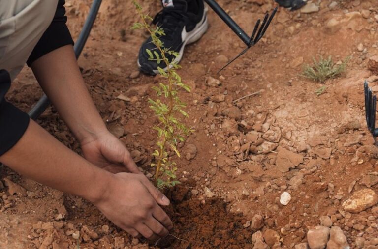 Ca0e4155 663b 4cc2 bd8c a550495535e6 file.jpg