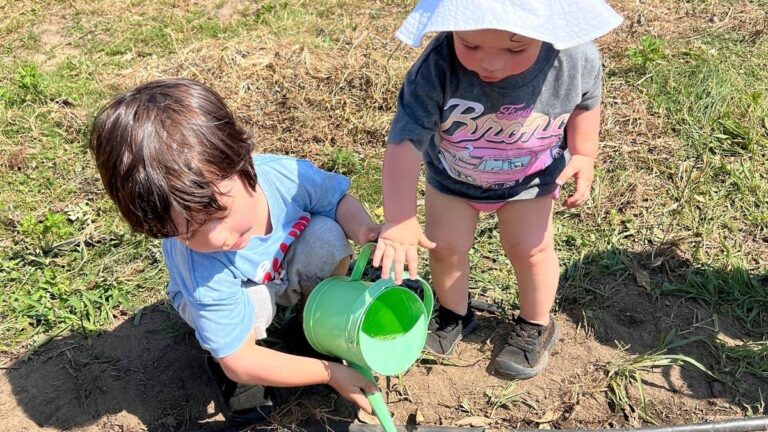 Ca5d087e b806 4c2f a93f 338b1daf4f93 file.jpg