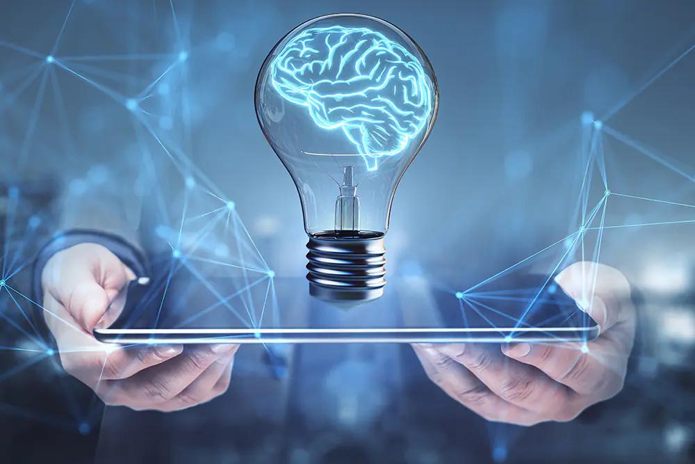 Cd6e2323 4729 4dda 8383 3a72d3a9b780 file.jpg