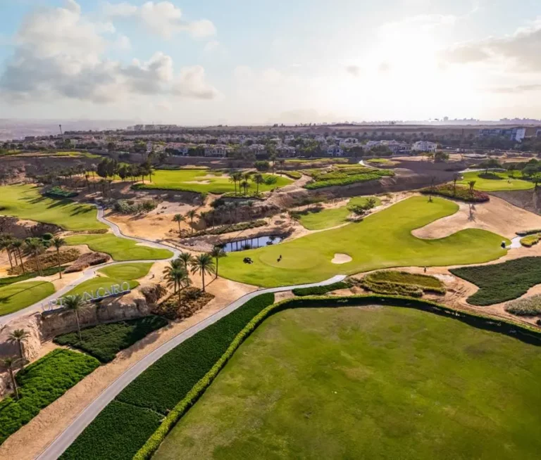 Cdd7e66a 015f 48fb 85aa f919f3249097 zawta.webp