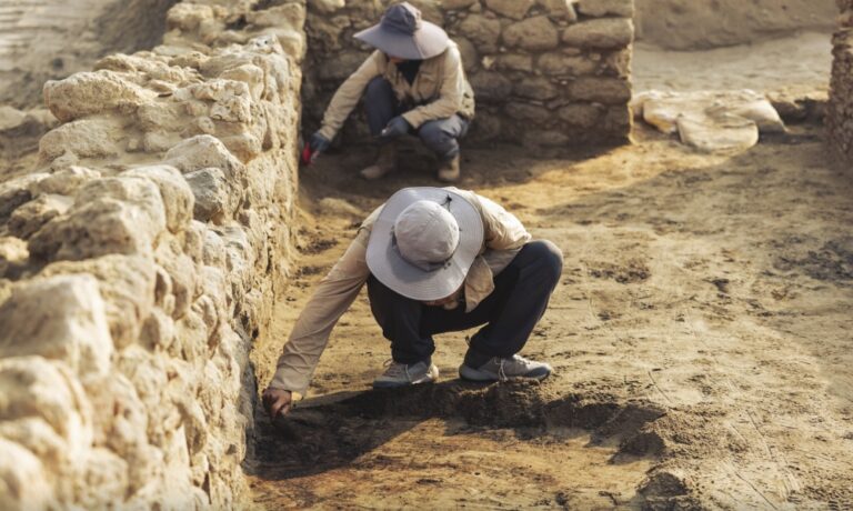 Cef44859 9a54 45c1 b962 2d6d6df76844 file.jpeg