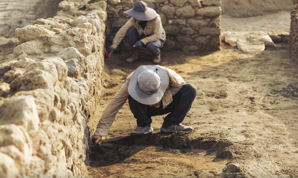 Cef44859 9a54 45c1 b962 2d6d6df76844 file.jpeg