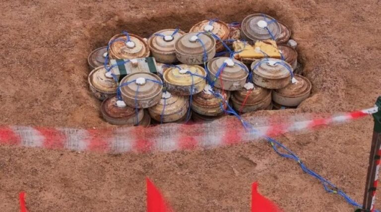 Cfb523de 9452 47ea 9673 168026987bfc file.jpg