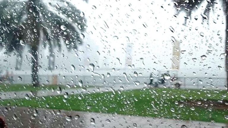 Cfdba748 827f 45de bbcc 81fe58e24cda file.jpg