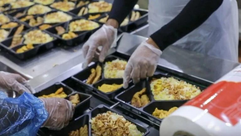 D32edcd9 8e59 41a9 9d0b 5da5e020bee3 file.jpg