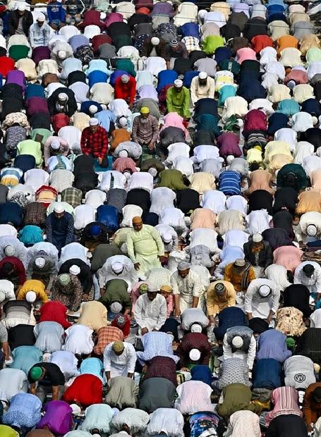 D7982c9b 5760 480d 940d 9f6ff4eeca8f file.jpg