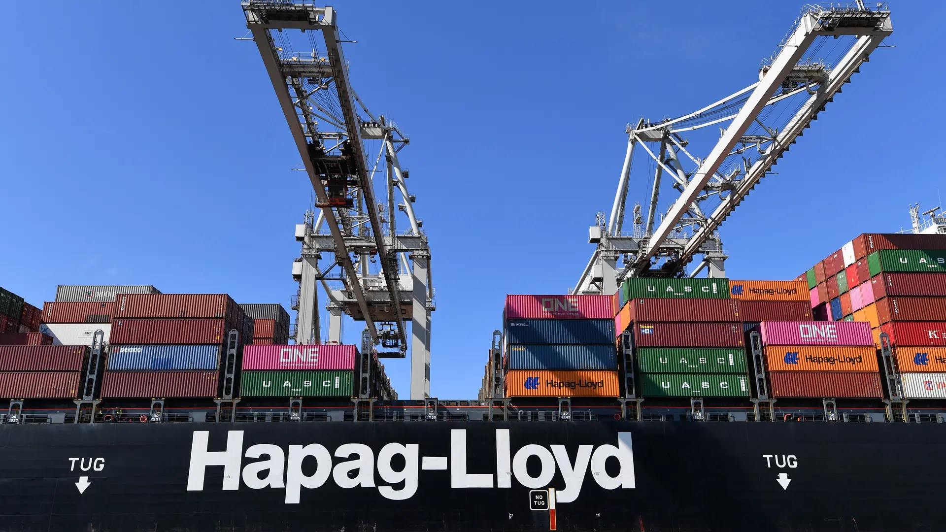 D87ac3c1 fb61 42df bd5a c9415a398edf file.webp