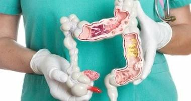 Da0a1116 3c6b 4333 b774 912353851cd3 file.jpg