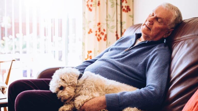 Db84c304 25f5 4fb0 80d6 f07545c4d292 file.jpg