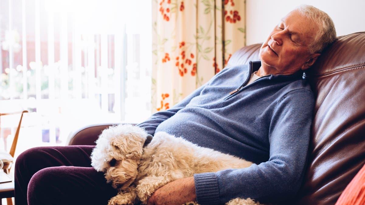 Db84c304 25f5 4fb0 80d6 f07545c4d292 file.jpg