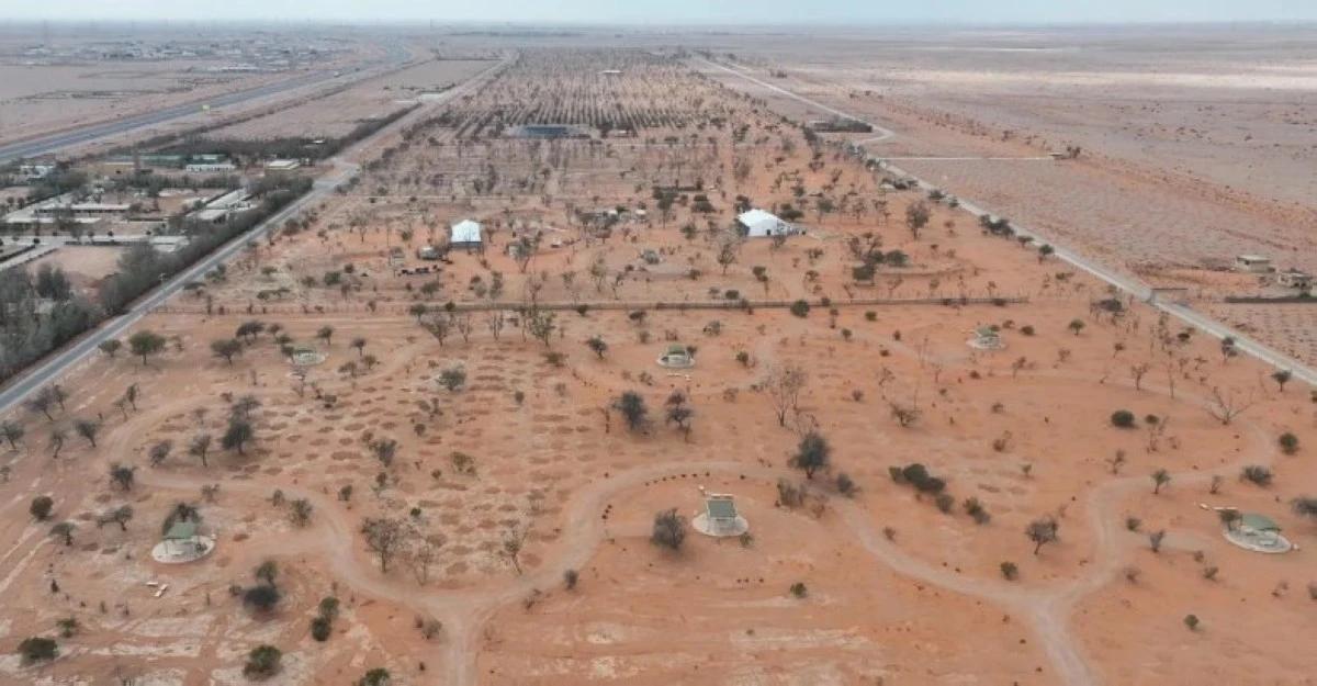 Dc1af92f ef3e 48c1 8b27 c3b373b8522d file.jpg