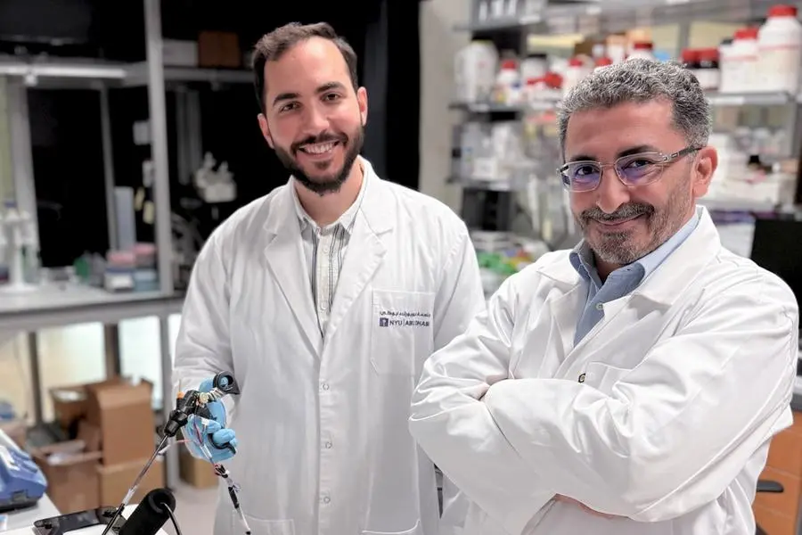 Df242ee7 6339 4151 9ade 3610ebdef1e2 zawta.webp