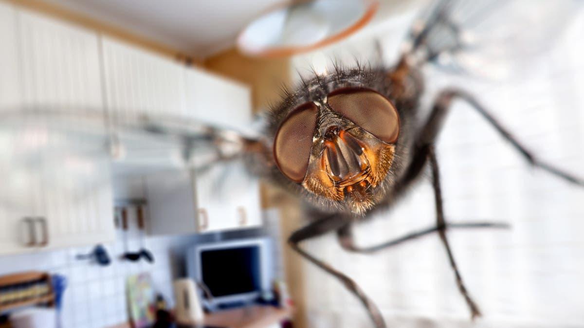 E1820356 15de 493a 9f44 fa8f11552571 file.jpg