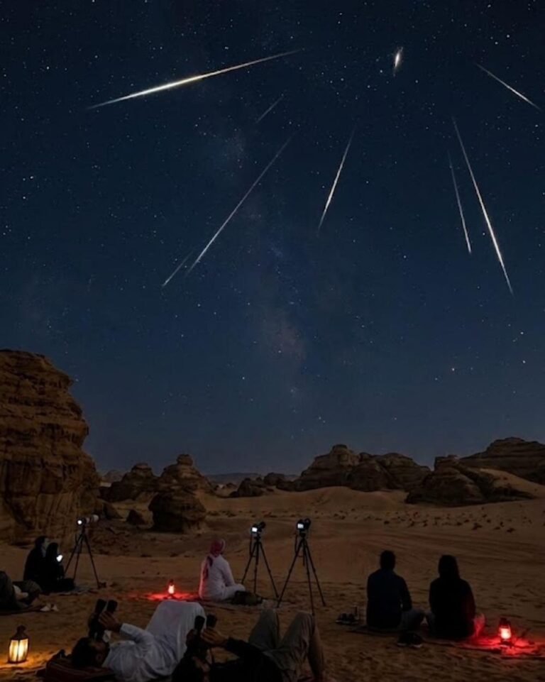 E823f50b b891 4e14 ab9c 7930e9a84221 file.jpg