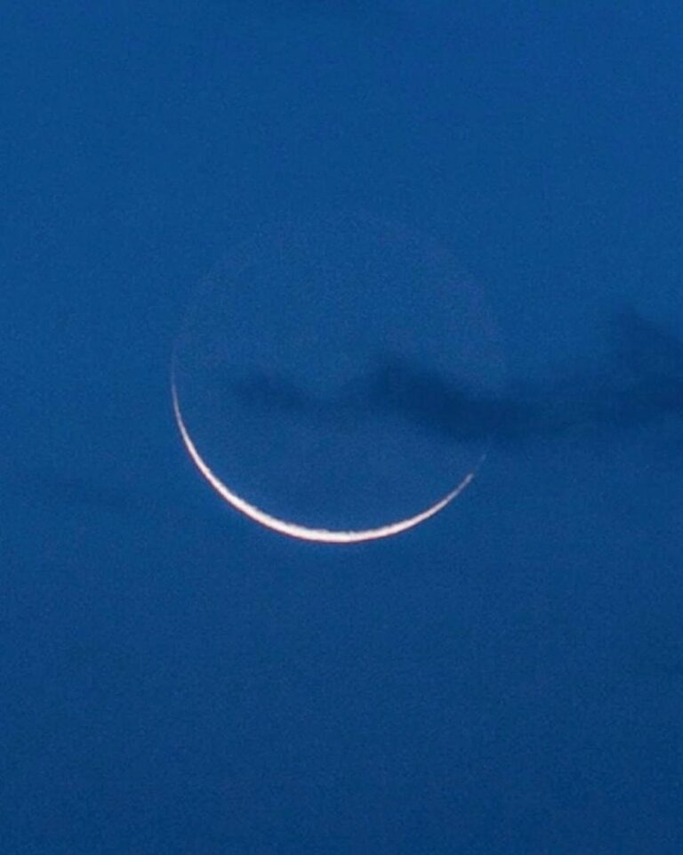 Eba2d708 4453 4b0d 878e 3b63463b61a9 file.jpg