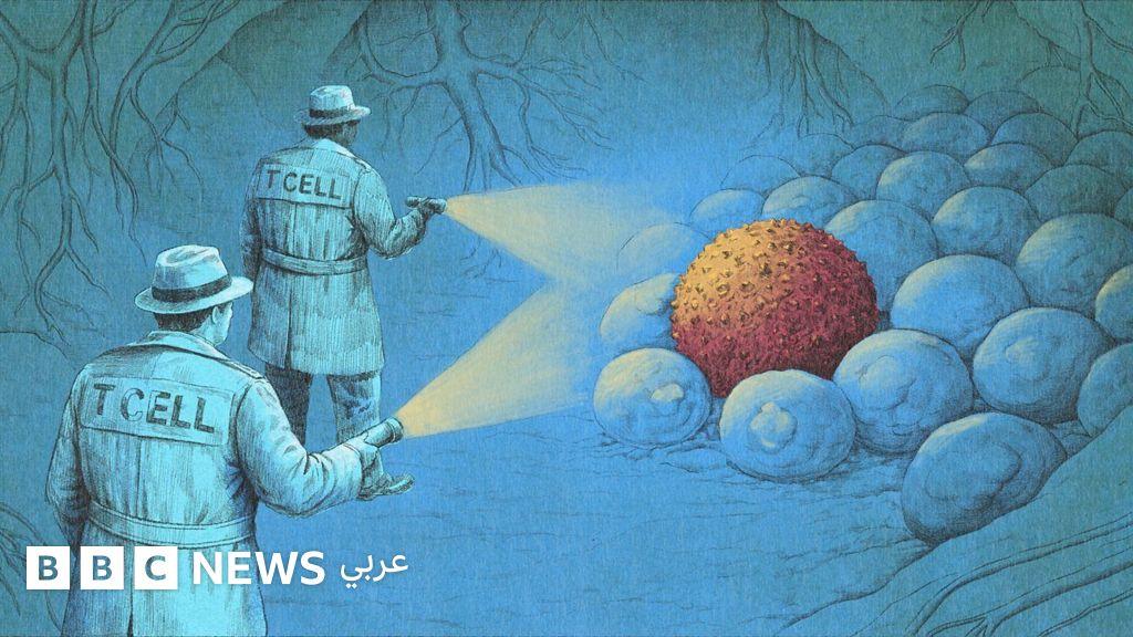 Ebd56f3e 0ec0 423e 8131 50d87a4e8c22 file.jpg