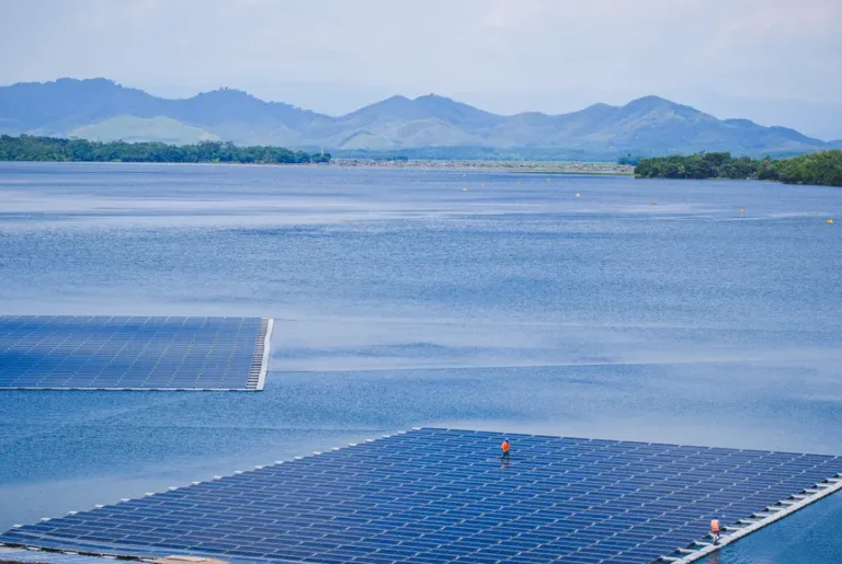 Ee31243a 9ced 4066 a5af 12cb7a30bbf1 zawta.webp