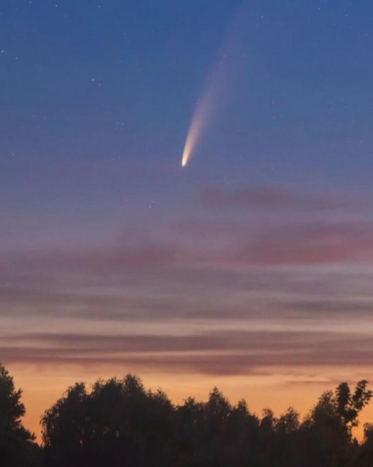 F037d9e3 a271 4040 97dc 5ad9b14a1a37 file.jpg