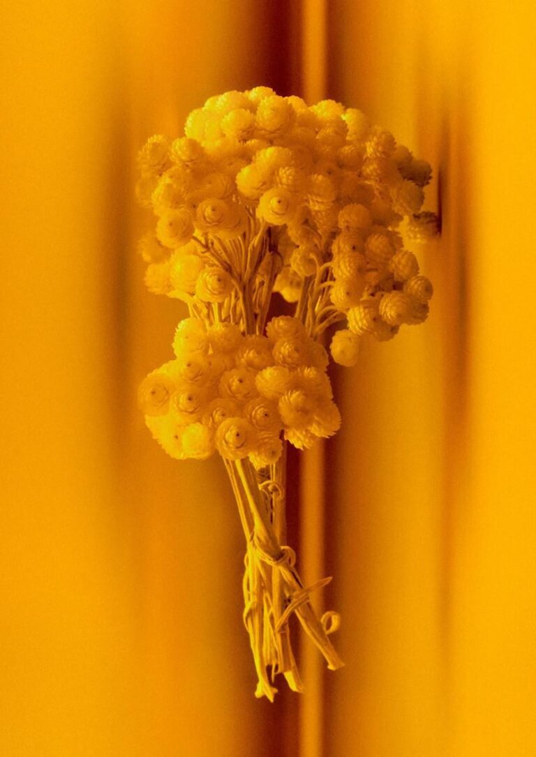 عطر Contre Jour.. لوحة فنية تجسد تلاعب الضوء والظل