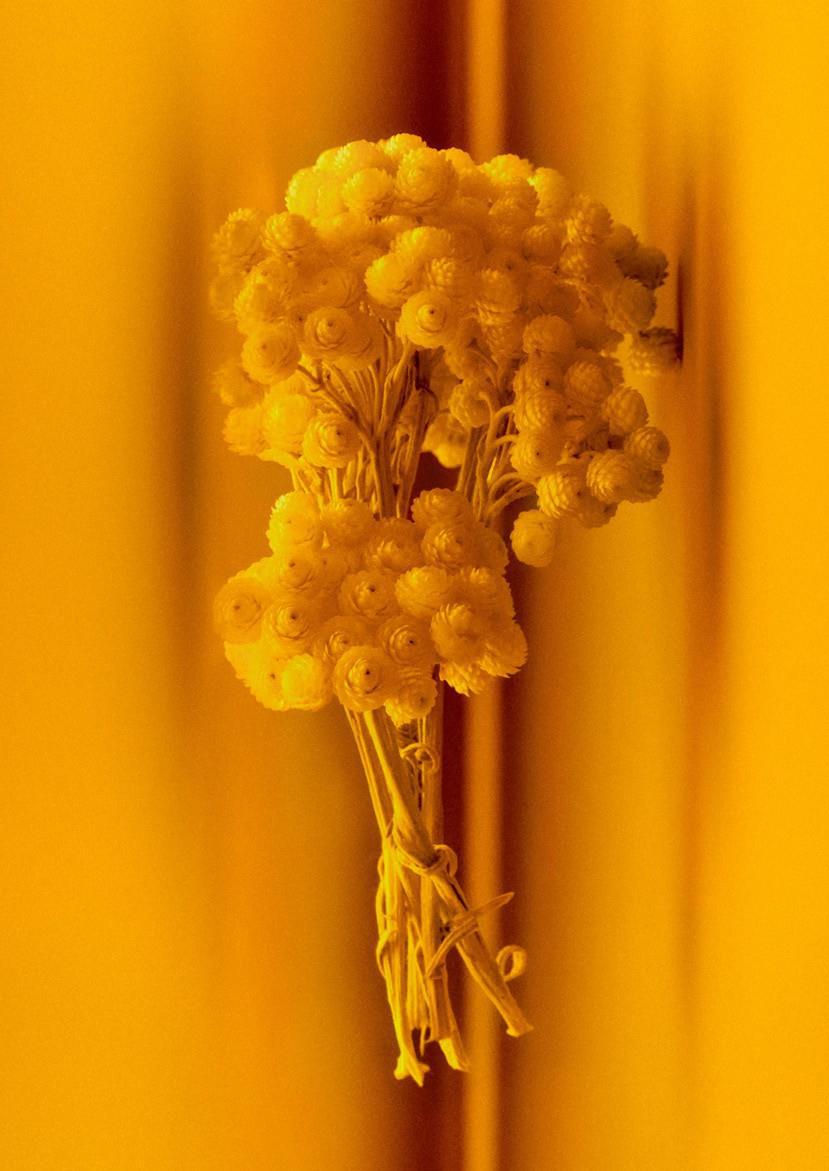 عطر Contre Jour.. لوحة فنية تجسد تلاعب الضوء والظل