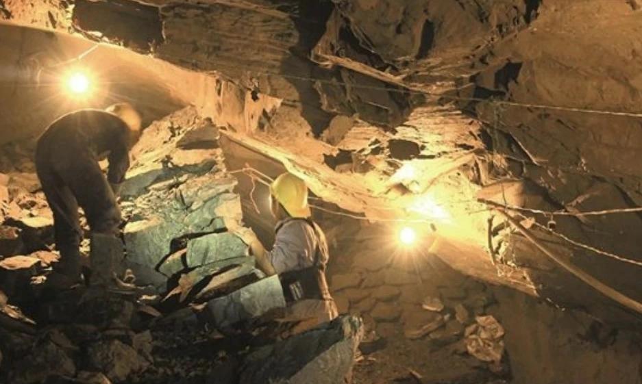 F0e8d2e1 0c13 4cf8 891d f14e23068a1e file.jpg