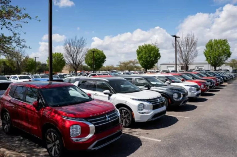 F1d87918 ba17 45c5 876c 50c9aafcffdd file.webp