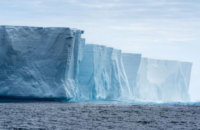 F232c50e 9e56 42b2 a952 c812b88ed6c1 file.jpg