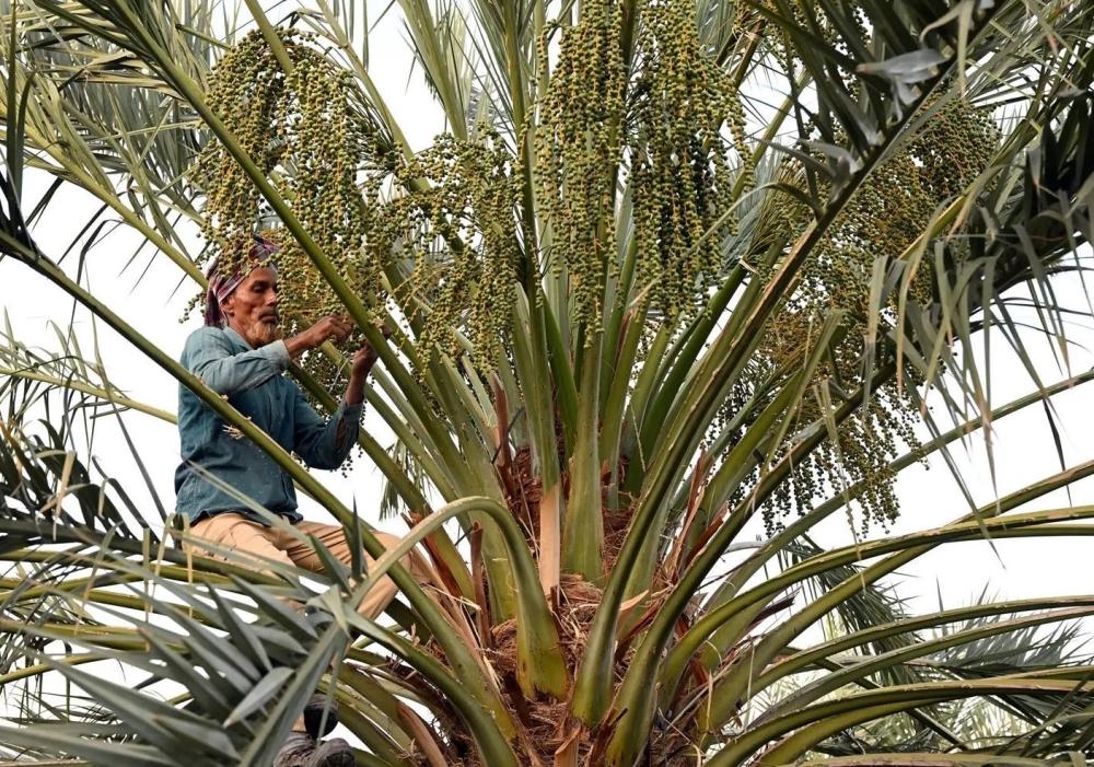 F261161d 6dca 44d6 88d9 3c6f20203469 file.jpg