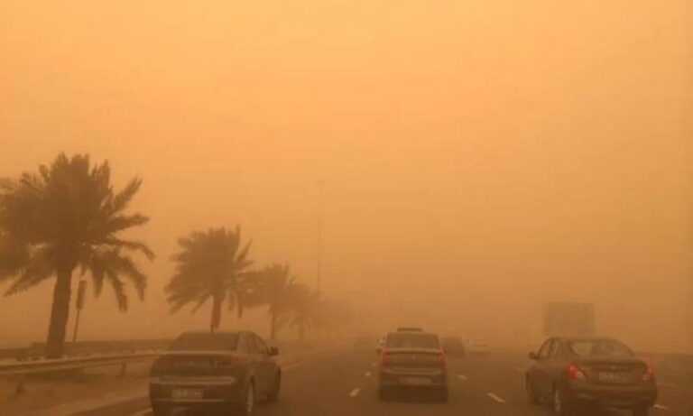 F295e260 f86d 494a 9546 06d0e8a39e10 file.jpg